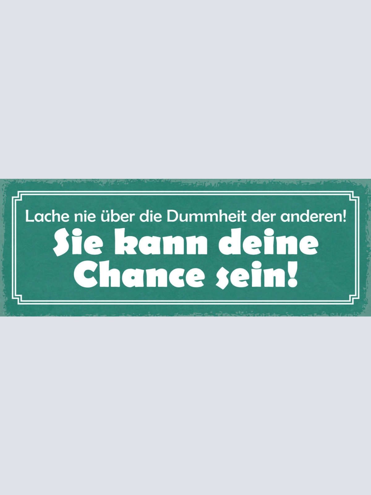 Schild Lache Nie Über Die Dummheit Der Anderen Sie Kann Deine Chance Sein 27x10