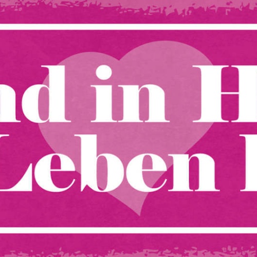 Schild Hand In Hand Ein Leben Lang Liebe Ehe Paar Beziehung 27x10 Blech od.Holz