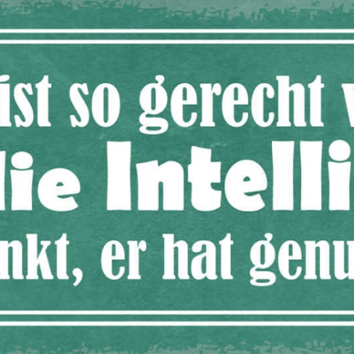 Schild Nichts Ist So Gerecht Verteilt Wie Die Intelligenz Jeder Denkt Hat Genug