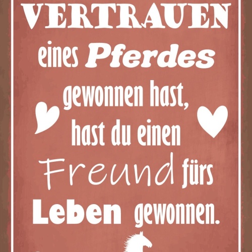 Schild Vertrauen Pferd Freund Leben Tier 12x18 / 20x30 / 30x40 Blech od. Holz