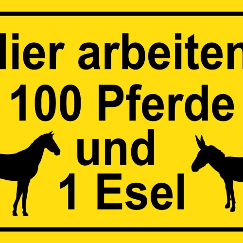 Schild Hier Arbeiten 100 Pferde Esel 12x18 / 20x30 / 30x40 Blech od. Holz