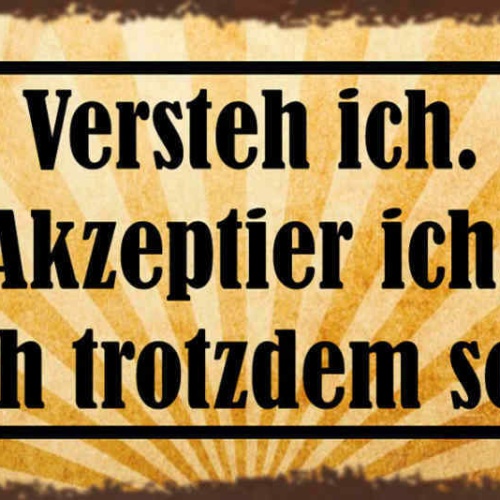 Schild Versteh Ich Akzeptier Ich Find Ich Trotzdem Scheiße 27x10 Blech od.Holz