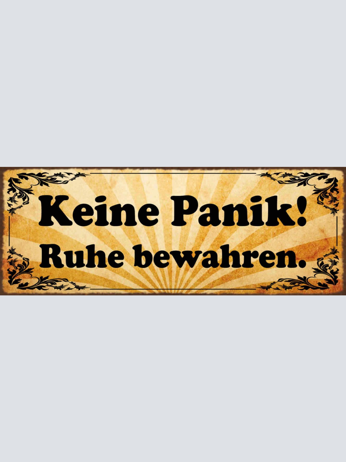 Schild Keine Panik Ruhe Bewahren Ruhig Bleiben Kein Stress 27x10 Blech od.Holz