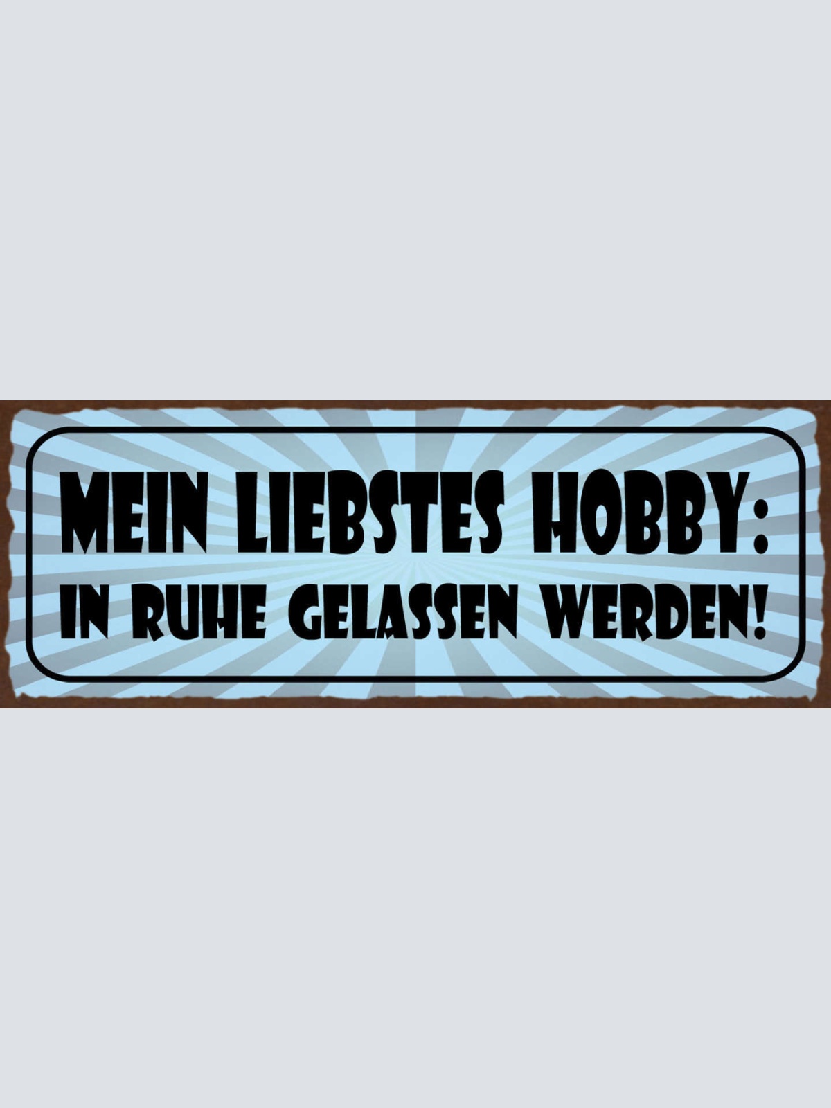 Schild Mein Liebstes Hobby In Ruhe Gelassen Werden 27x10 Blech od.Holz