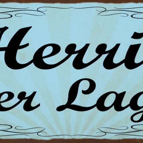 Schild Herrin Der Lage Situation Sache Im Griff In Kontrolle 27x10 Blech od.Holz