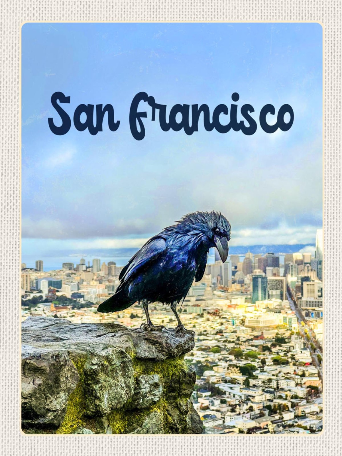 Schild San Francisco Krähe Stadt Ansicht Vogel USA 12x18 20x30 30x40 Blech/Holz