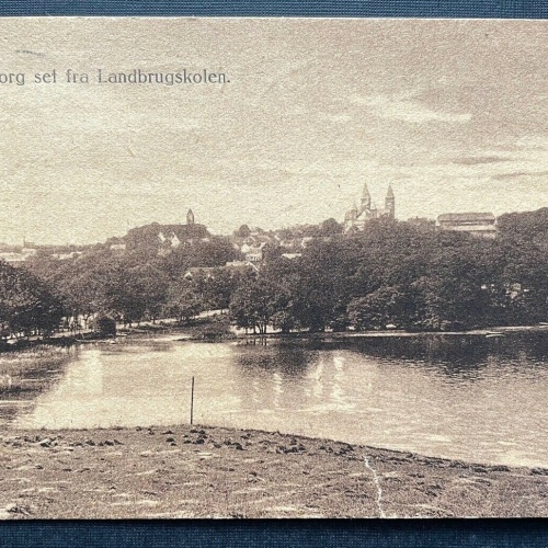 Viborg v.d. Landwirtschaftsschule gesehen Stadt Kirche Fluss Dänemark 410720 C