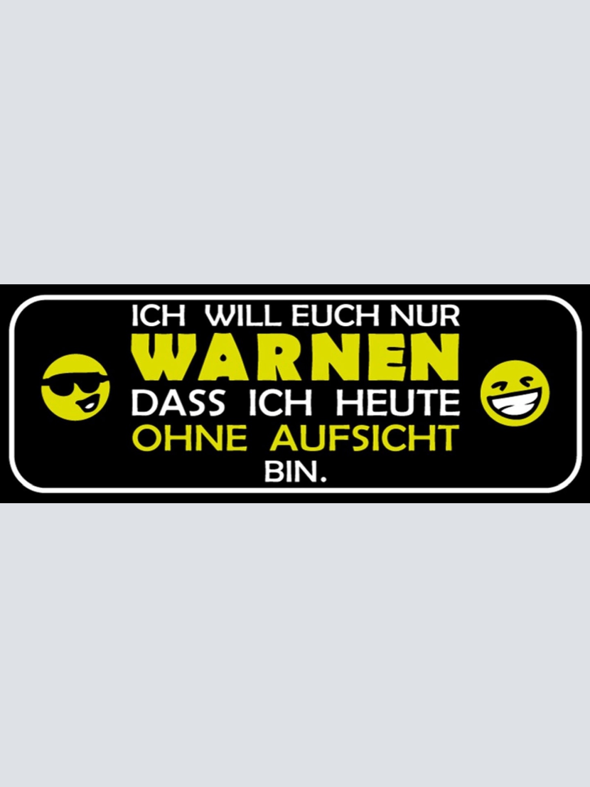 Schild Ich Will Euch Nur Warnen Dass Ich Heute Ohne Aufsicht Bin 27 x 10