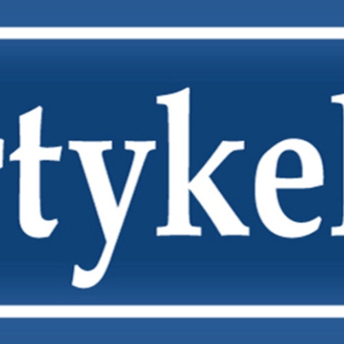 Schild Party Keller Feiern Alkohol Bier Straße Ort Platz 27 x 10 Blech od. Holz