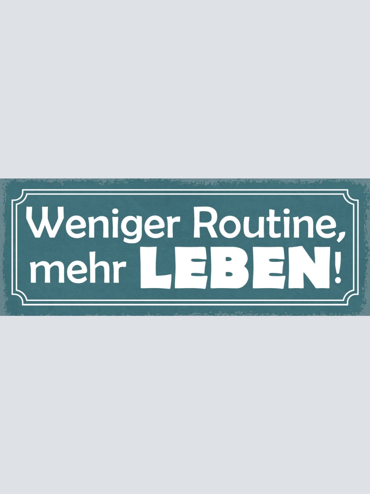 Schild Weniger Routine Mehr Leben Arbeit Freizeit Hobby 27x10 Blech od.Holz