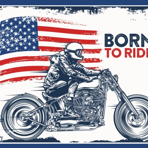 Schild Born To Ride USA Amerika Motorrad Biker 12x18 20x30 30x40 Blech/Holz