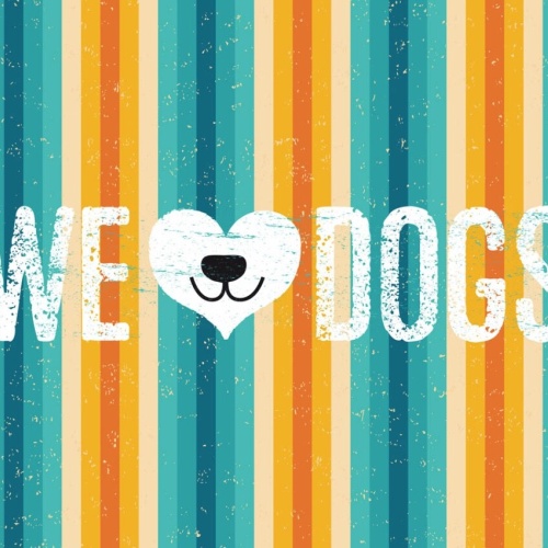 Schild We ❤️ Dogs Hunde Liebe Hund Haus Tier 12x18 20x30 30x40 Blech/Holz