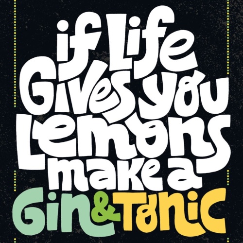 Schild If Life Gives You Lemons Make Gin & Tonic 12x18 20x30 30x40 Blech/Holz