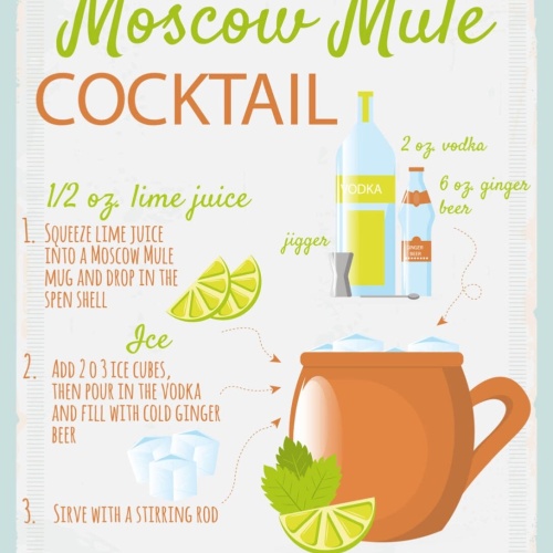 Schild Moscow Mule Cocktail Rezept Bar Alkohol 12x18 20x30 30x40 Blech/Holz