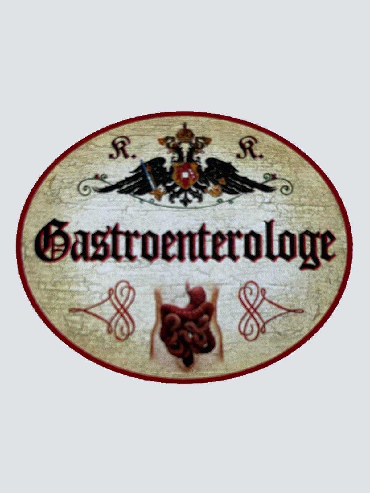 KuK Nostalgie Holzschild Gastroenterologe Gastroenterologie Facharzt Schild