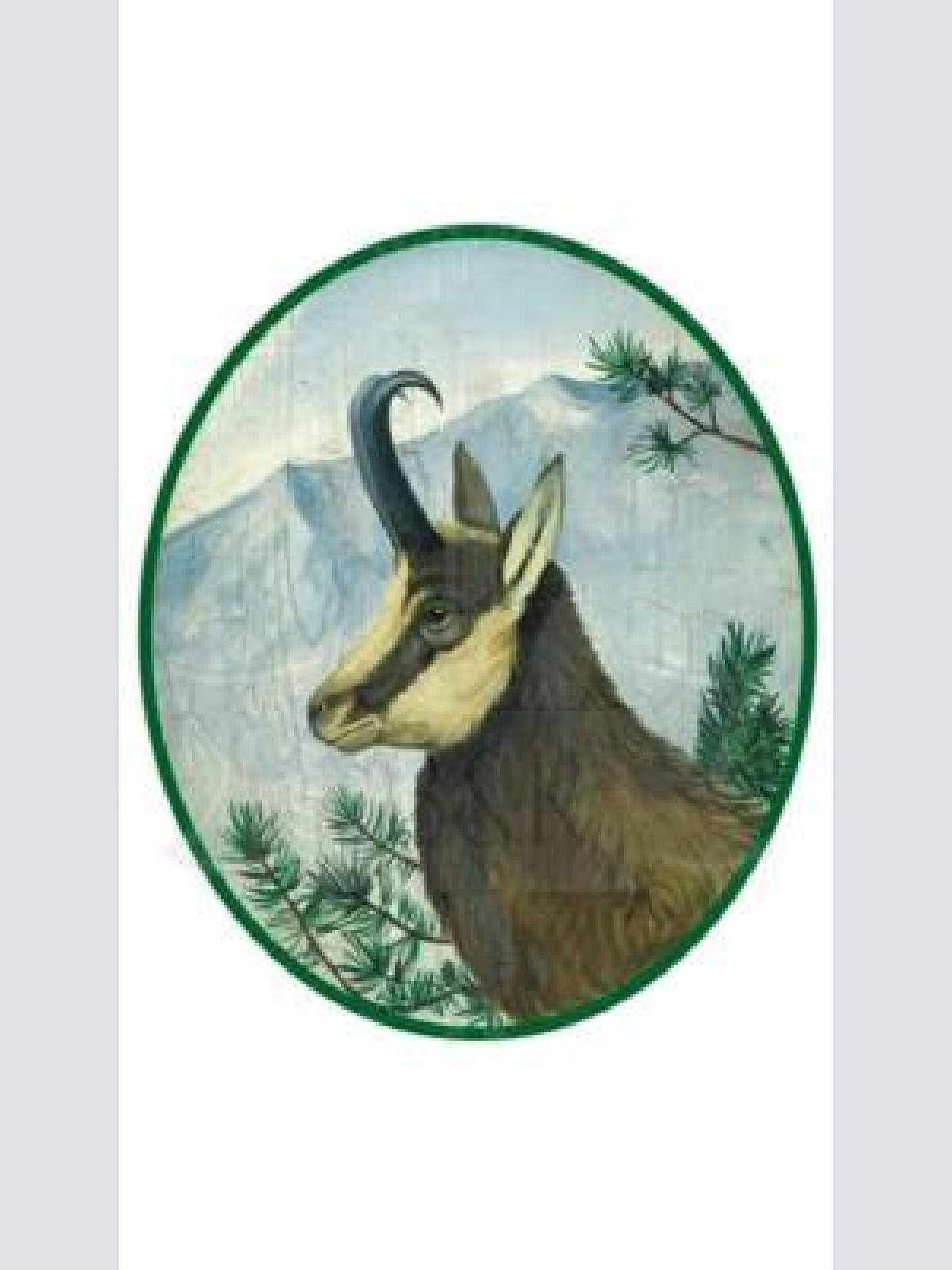 Kuk nostalgie holzschild "gams"