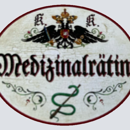 KuK Nostalgie Holzschild Medizinalrätin Medizin Titel Ehrentitel Beamter Schild