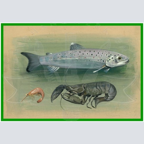 KuK Nostalgie Holzschild Meeresfrüchte