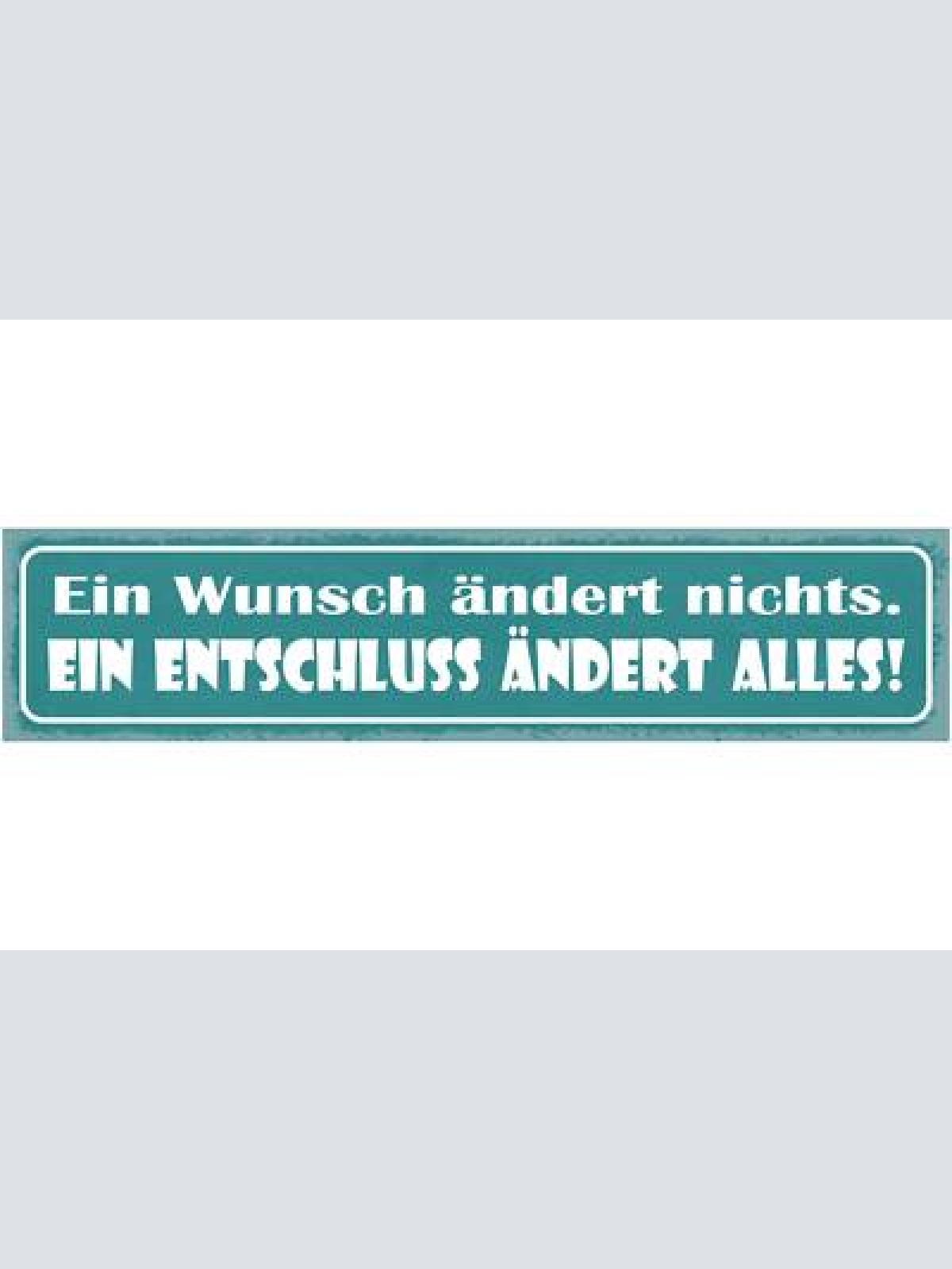 Schild ein wunsch ändert nichts ein entschluss ändert alles 46x10 blech od. holz