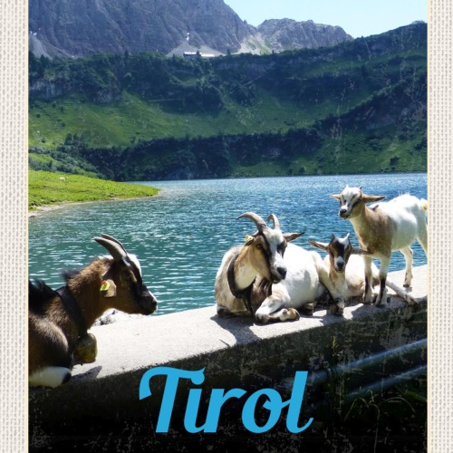 Schild Tirol Landschaft Geißbock Ziegen Österreich 12x18 20x30 30x40 Blech/Holz