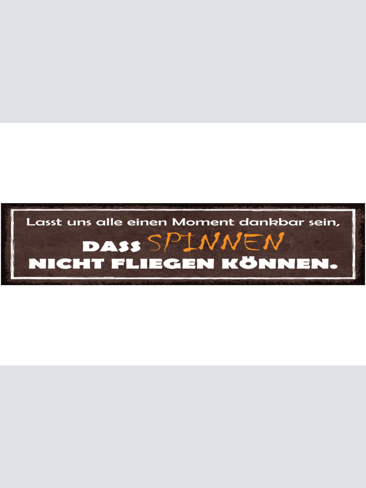 Schild Lasst Uns Alle Einen Moment Dankbar Sein Das Spinnen Nicht Fliegen Können