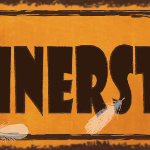 Schild Hühnerstall Unordnung Chaos Aufräumen Putzen Zimmer 27x10 Blech od.Holz