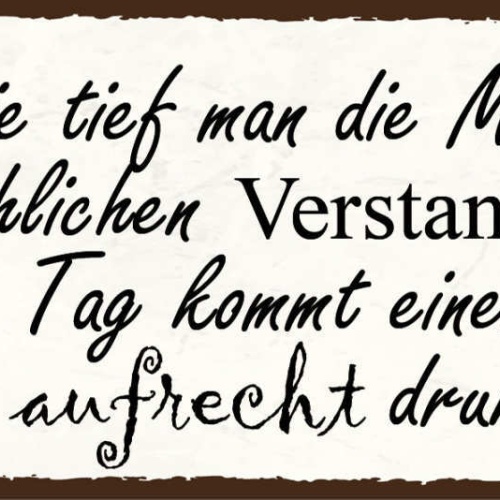 Schild Egal Wie Tief Man Die Messlatte für Menschlichen Verstand Ansetzt 27x10