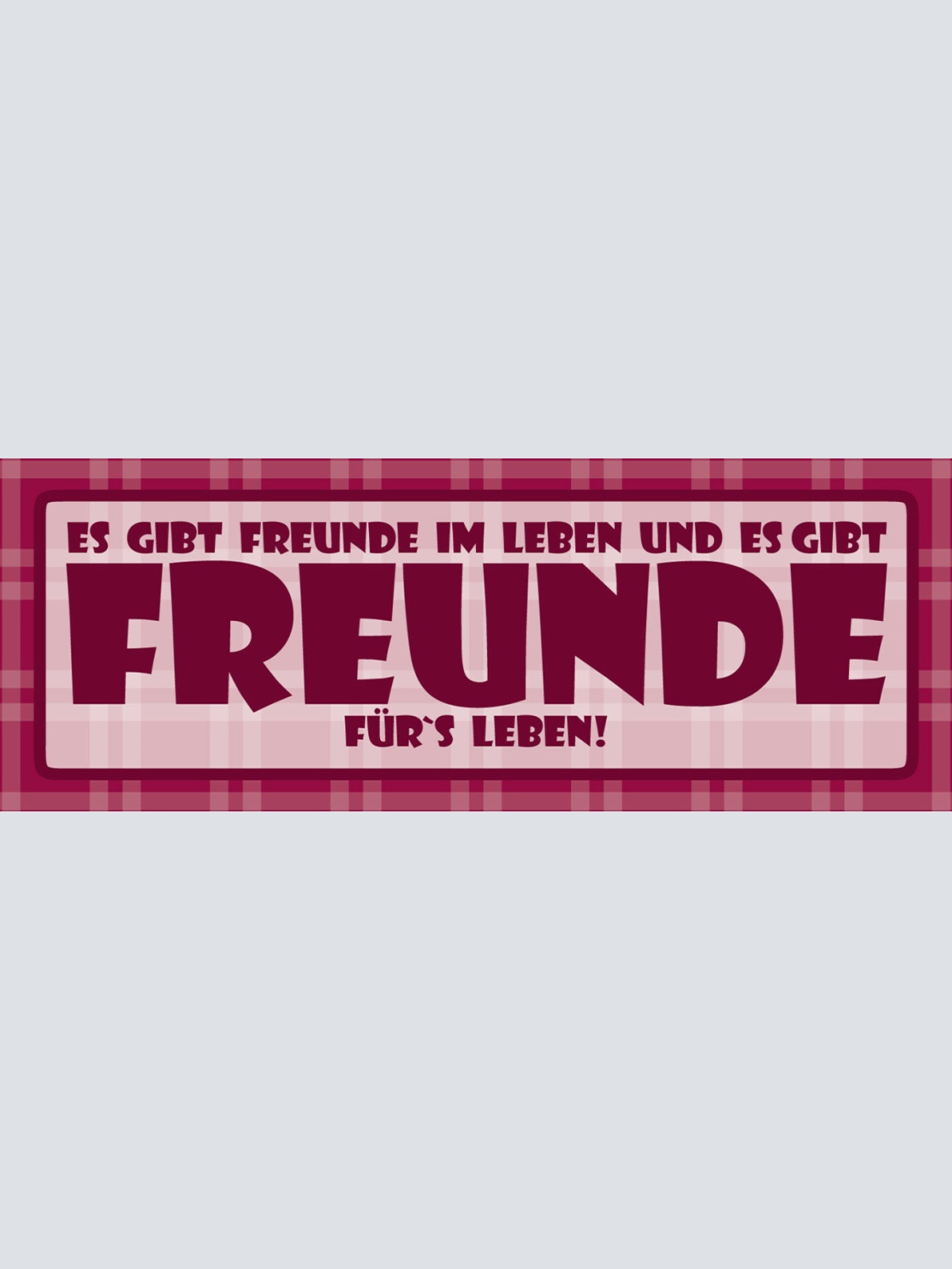 Schild Es Gibt Freunde Im Leben & Es Gibt Freunde Für's Leben 27 x 10
