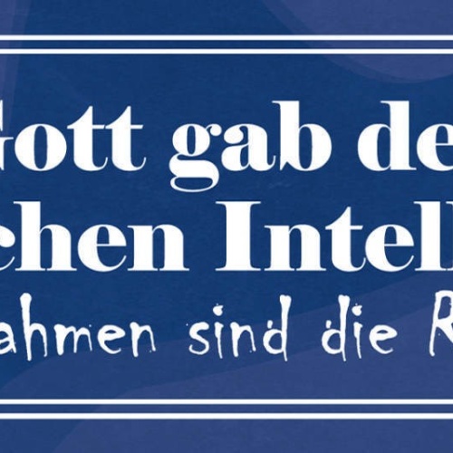 Schild Gott Gab Den Menschen Intellegenz Ausnahmen Sind Die Regel 27 x 10