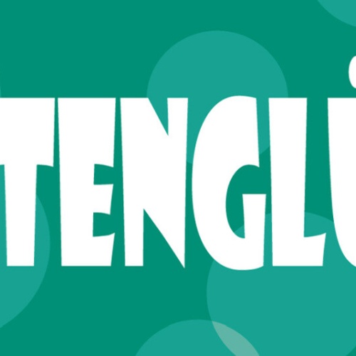 Schild Garten Glück Gärntner Pflanzen Gemüse Beet Hobby 27 x 10 Blech od. Holz