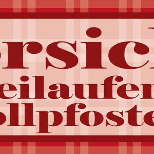 Schild Vorsicht Freilaufende Vollpfosten Idioten Doof Dumm 27 x 10 Blech od.Holz