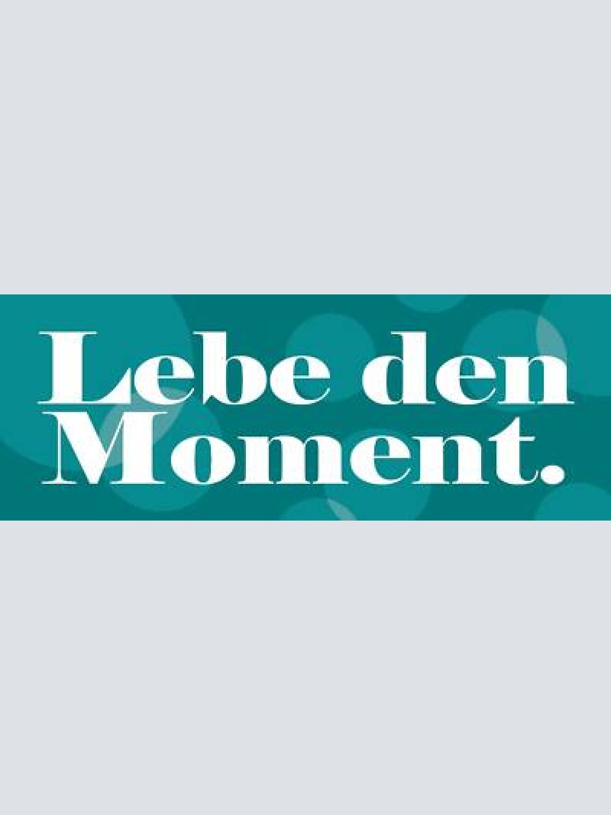 Schild lebe den moment leben genießen 27 x 10 blech od. holz