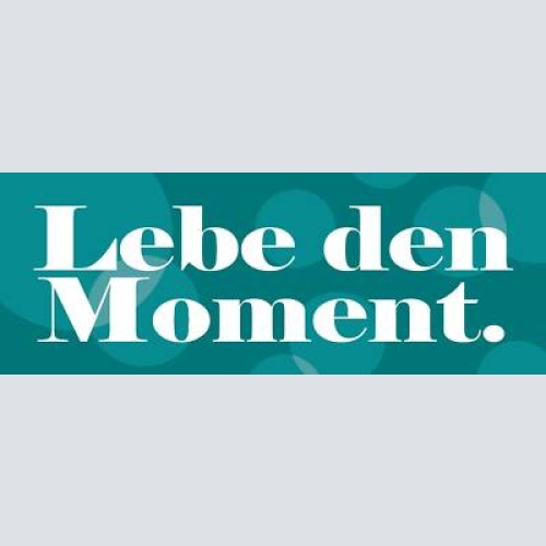 Schild lebe den moment leben genießen 27 x 10 blech od. holz
