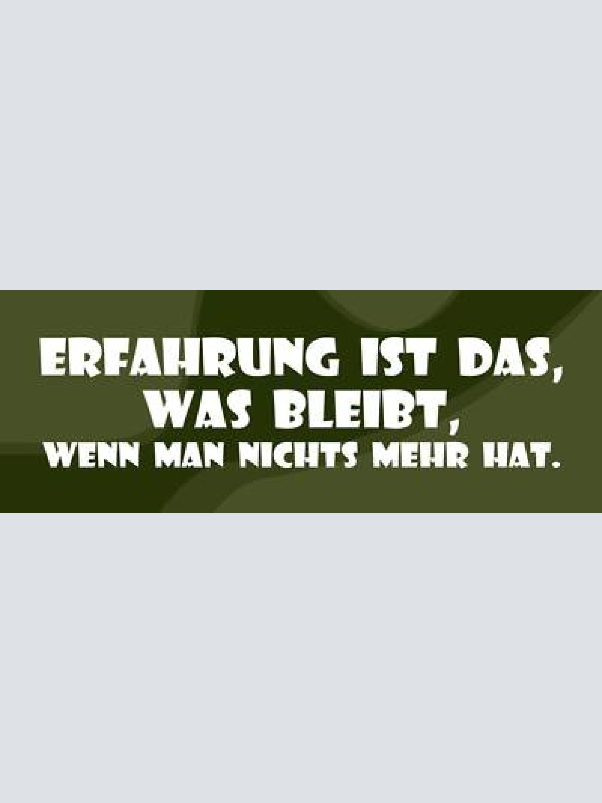 Schild erfahrung ist das was bleibt wenn man nichts mehr hat 27x10 blech od.holz