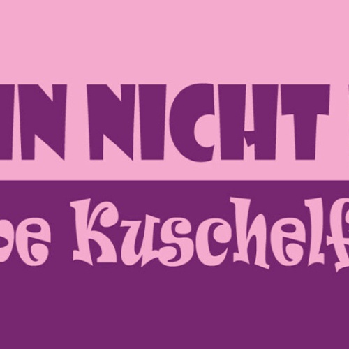 Schild Ich Bin Nicht Dick Ich Habe Kuschelfleisch 27 x 10 Blech od.Holz