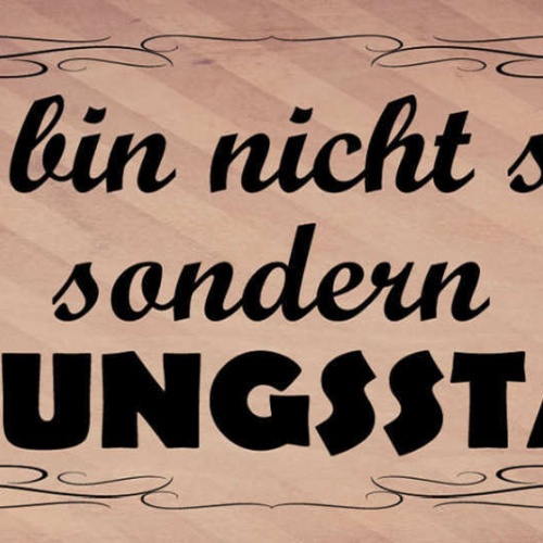 Schild Ich Bin Nicht Stur Sondern Meinungsstabil 27 x 10 Blech od.Holz