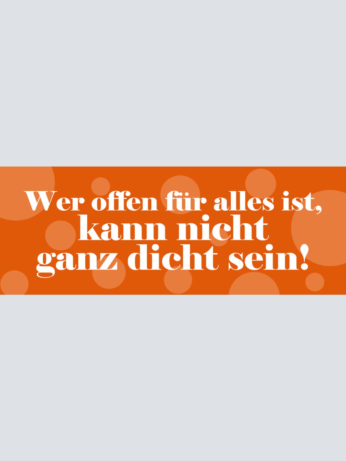 Schild Wer Offen Für Alles Ist Kann Nicht Ganz Dicht Sein 27 x 10 Blech od. Holz