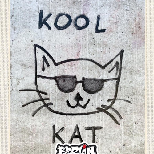 Schild Berlin Street Art Graffiti Kool Kat Katze D 12x18 20x30 30x40 Blech/Holz