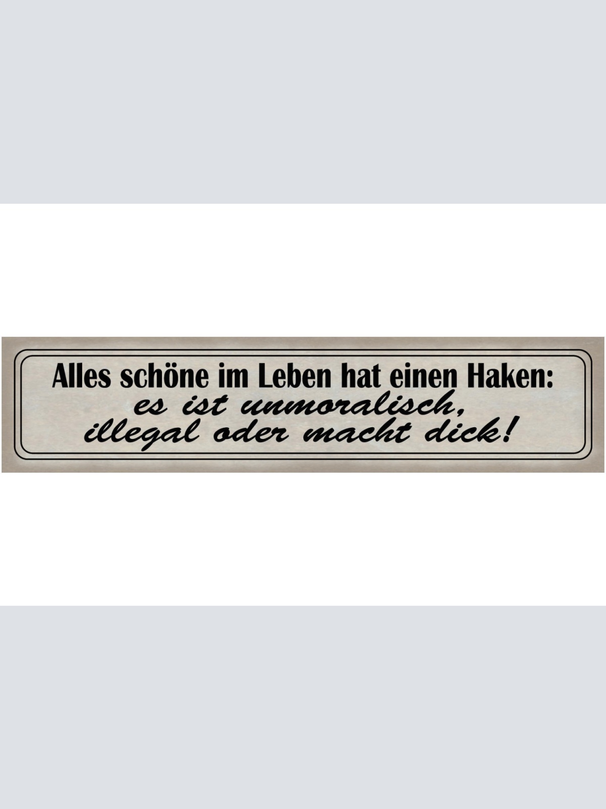 Schild Schöne Leben Haken Unmoralisch Illegal Dick Süßes 46 x 10 Blech od. Holz