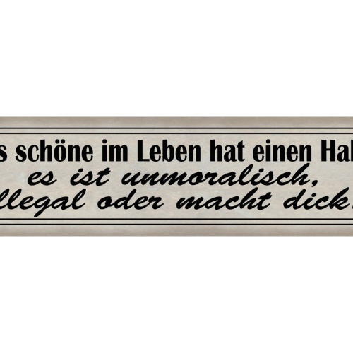 Schild Schöne Leben Haken Unmoralisch Illegal Dick Süßes 46 x 10 Blech od. Holz