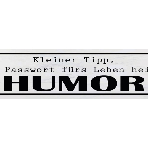 Schild Humor Tipp Passwort Leben Spaß Freude Glück Witzig 46 x 10 Blech od. Holz