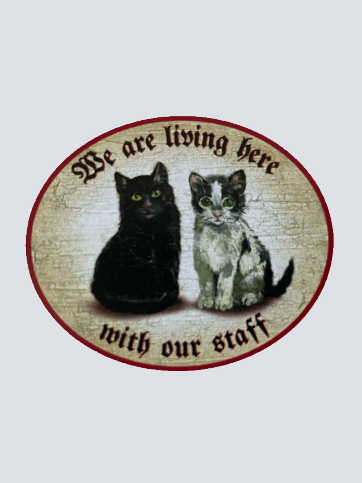 Nostalgie Holz Schild We Are Living Here With Our Staff Katzen Katze Personal