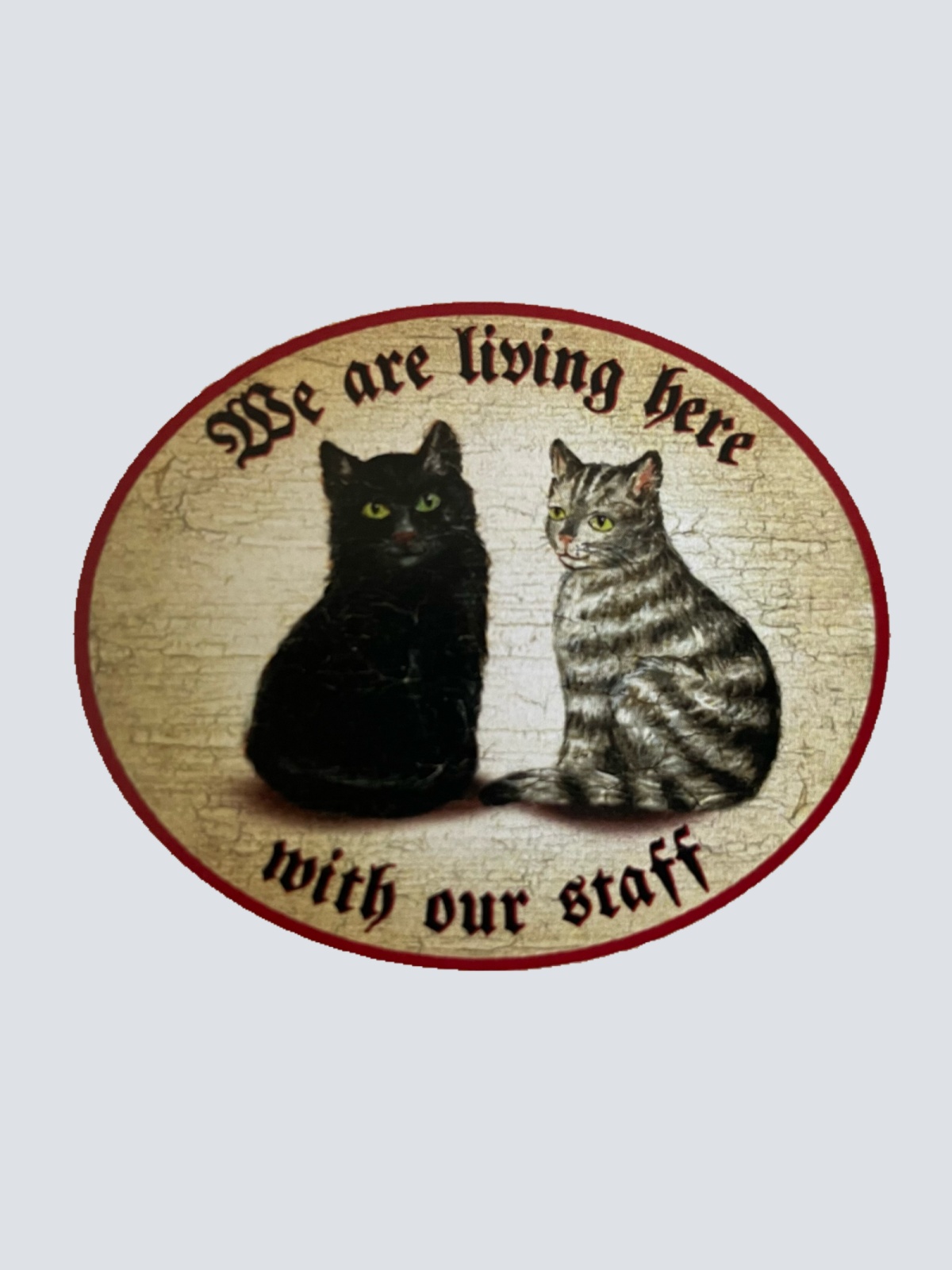 Nostalgie Holz Schild We Are Living Here With Our Staff Katzen Katze Personal