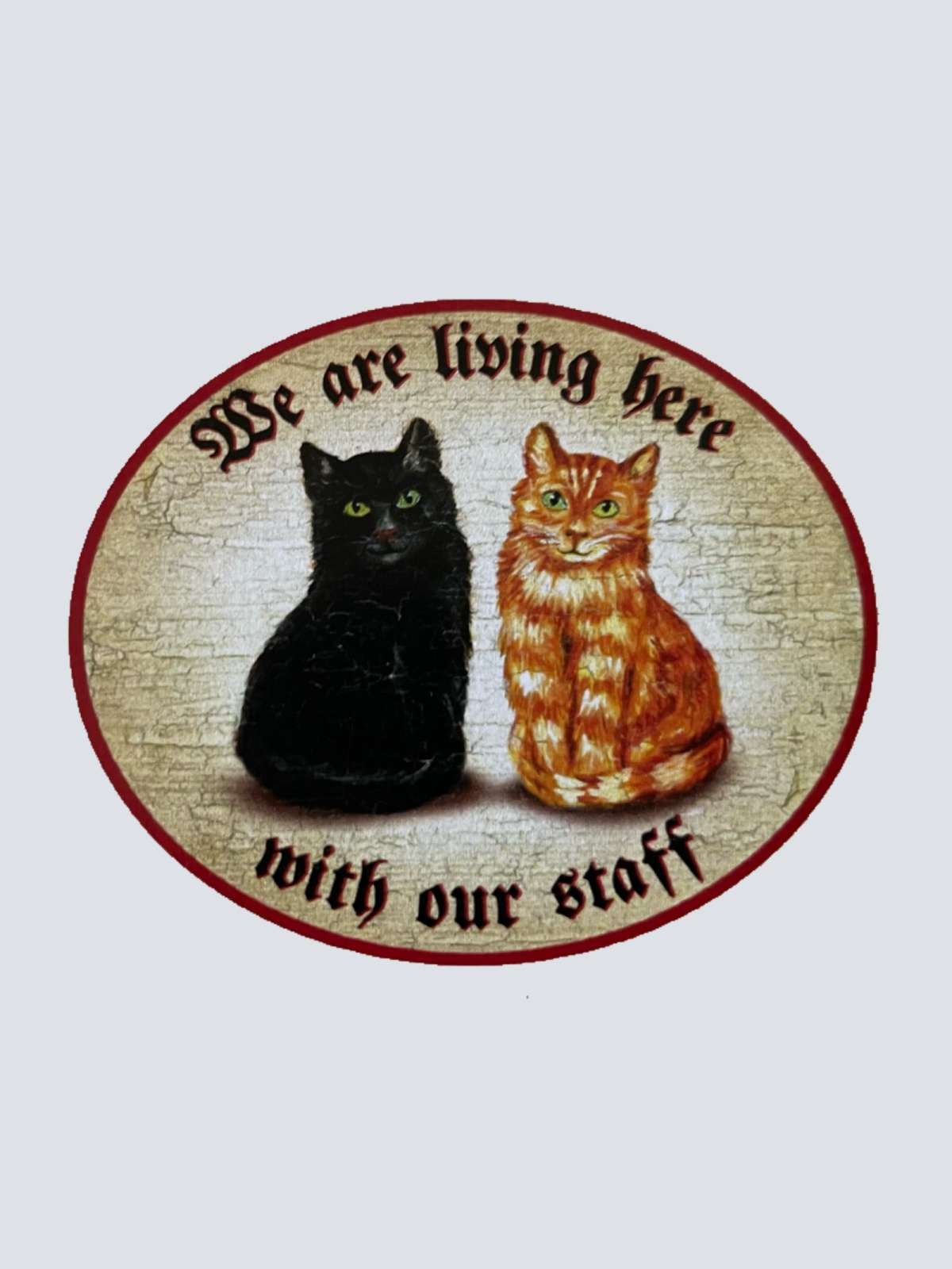 Nostalgie Holz Schild We Are Living Here With Our Staff Katzen Katze Personal