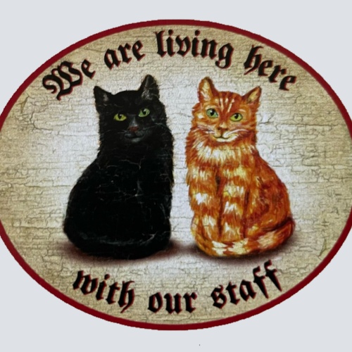Nostalgie Holz Schild We Are Living Here With Our Staff Katzen Katze Personal