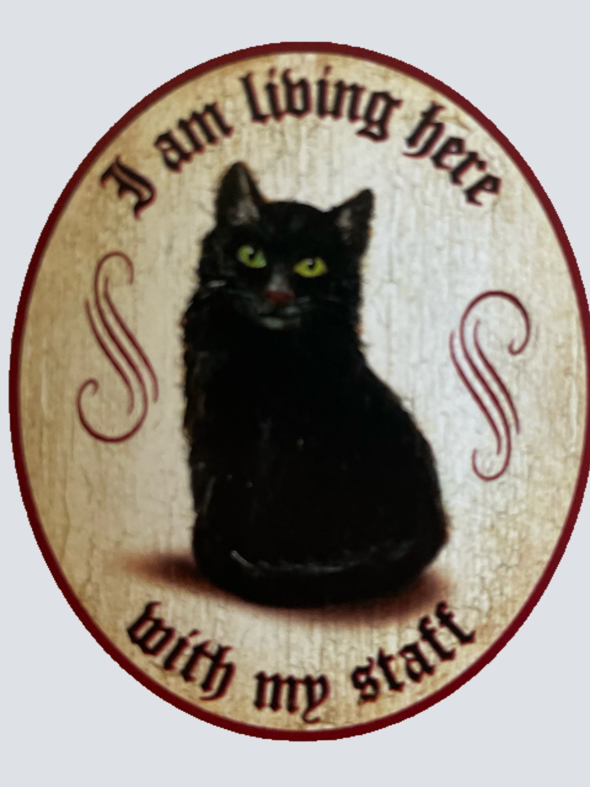 Nostalgie Holz Schild We Are Living Here With Our Staff Katzen Katze Personal