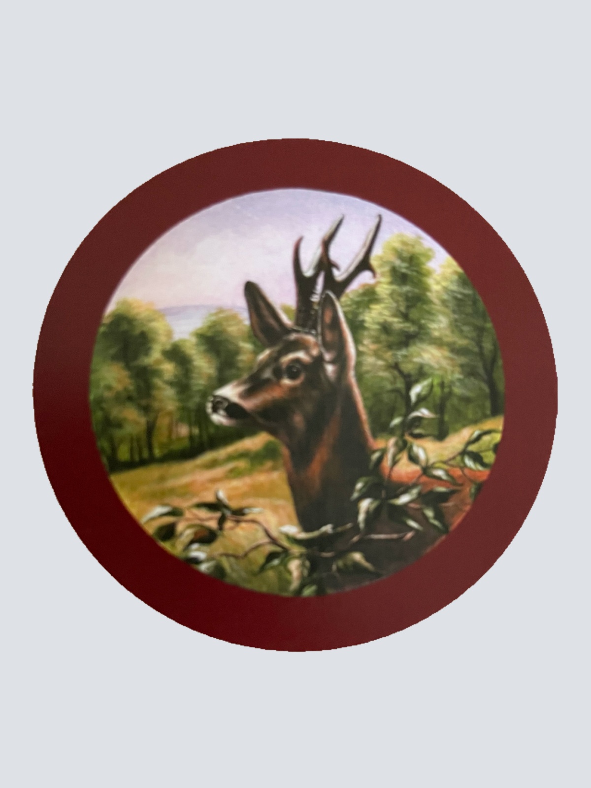 Nostalgie Holzschild Schützenscheibe Rehbock Wild Jagd Jäger Wald Schild