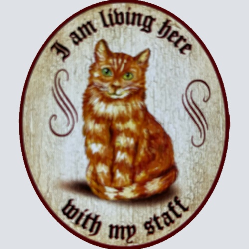 Nostalgie Holz Schild We Are Living Here With Our Staff Katzen Katze Personal