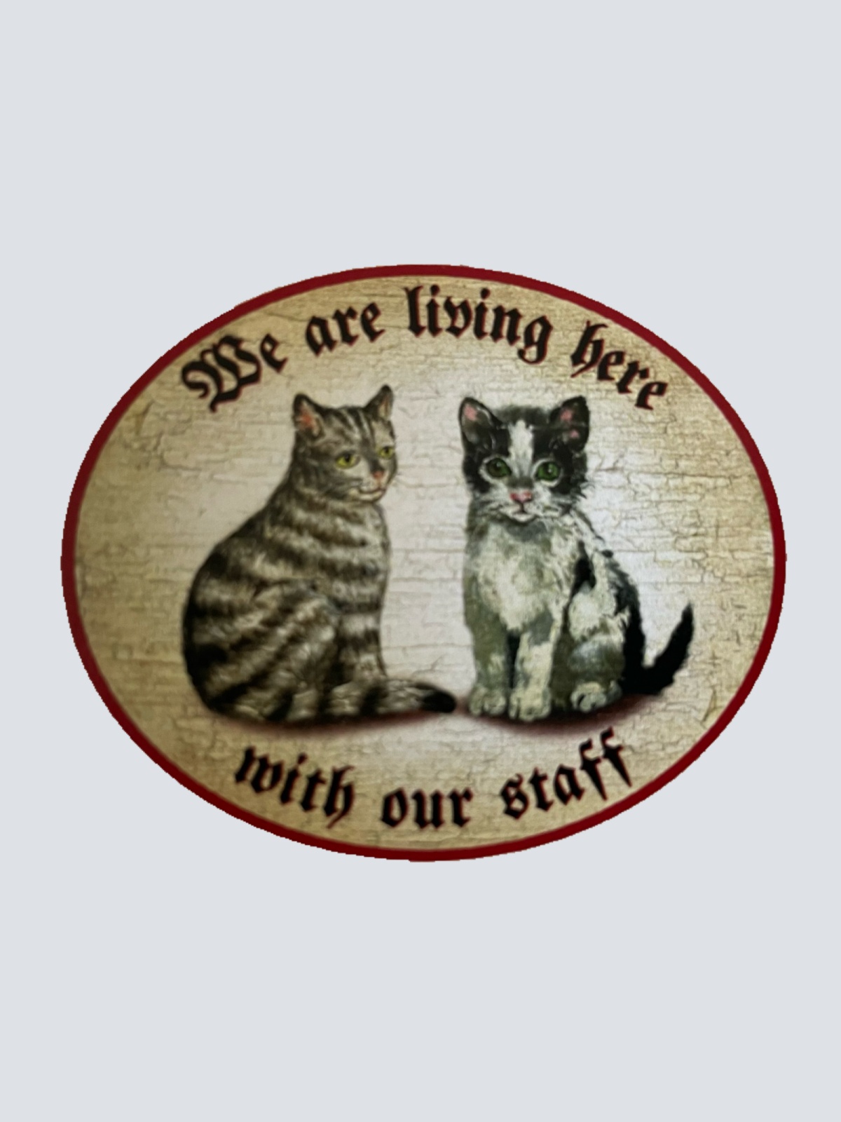 Nostalgie Holz Schild We Are Living Here With Our Staff Katzen Katze Personal