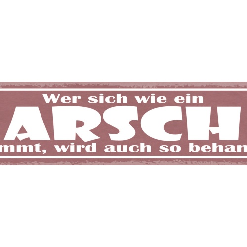Schild Wer Sich Wie Ein Arsch Benimmt Wird Auch So Behandelt 46 x 10